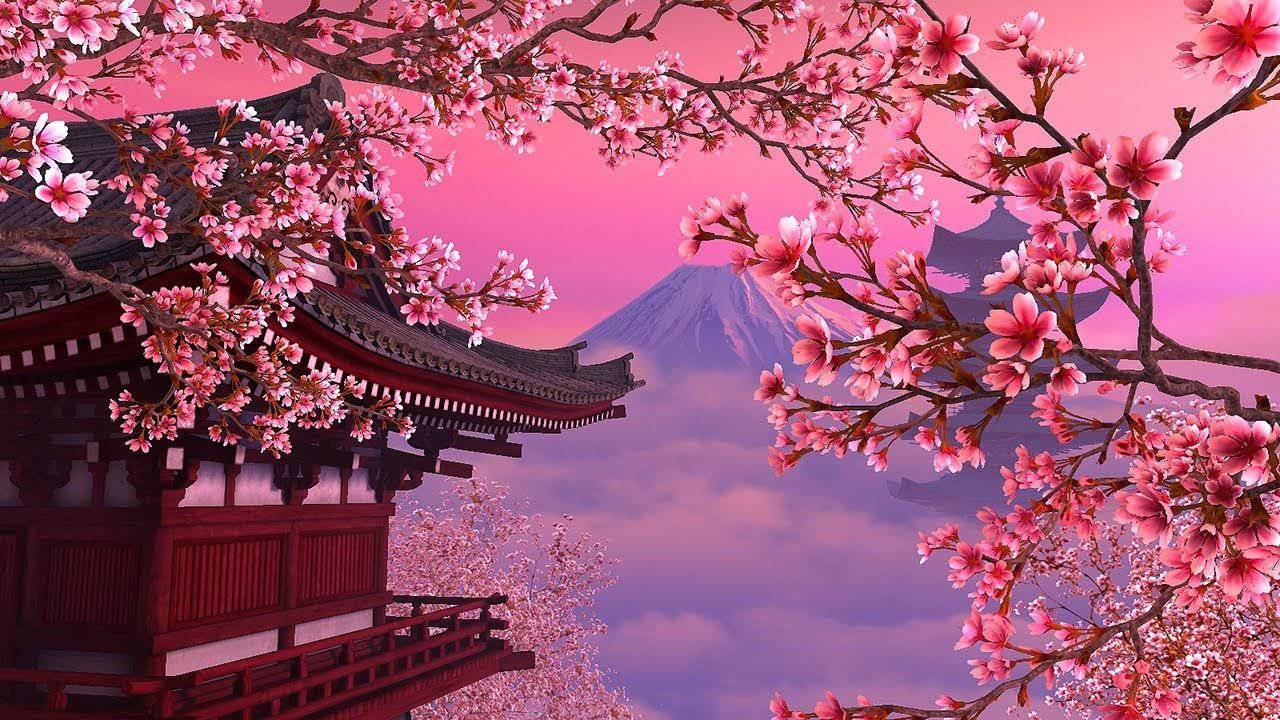 More information about "Japon Kültürünün Önemli Bir Simgesi: Sakura Ağaçları"